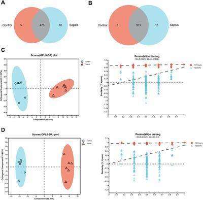 Exploring the gut microbiota-hippocampus-metabolites axis dysregulation in sepsis mice